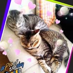 Hitomi Okamoto - @haku.jagi.17 - Instagram
