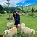 Hòa Bùi - @hoabuidayyy_bbh - Instagram