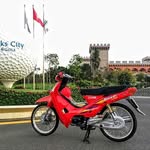 Hoa Chi - @hoachi1085 - Instagram