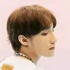 Sơn Tùng MT-P(FAN) - @hoato86 - TikTok