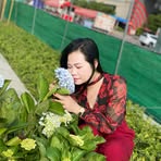 Hoa Tong - Facebook