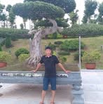 Hoa Tong - Facebook