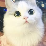Hòa Tống - @hoatong144 - Instagram
