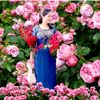 Hoa Trinh - @hoatrinh7336 - TikTok
