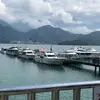 Kieu hoa 2021 10 19 - @hoawang6 - TikTok