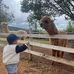 Hoan Cu - Facebook