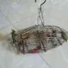 Hoan Cu - @user655157050 - TikTok