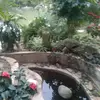 Hoan Cu - @hoan.cu52 - TikTok