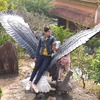 Hoan Ly - @hoanly394 - TikTok