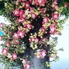 Hoan Ly - @hoanly14 - TikTok
