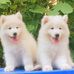 Hoàn Hoan Phan - Facebook