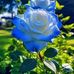 Hoan Phan - Facebook