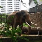 Hoantan Nguyen - @hoantannguyen - Instagram