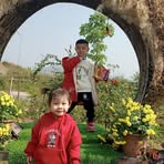 Sắt Thép Hoàn Tần - Facebook