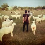 Nguyễn Thanh Hoan - @hoan_thachha - Instagram