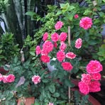Hoangoanh Tran - Facebook