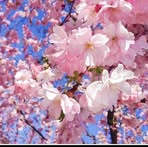 HoangOanh Tran - Facebook