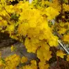 Hoangoanh Tran - @hoangoanh.tran88 - TikTok
