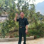 Hoat Pham - Facebook