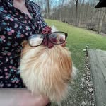 Wright Hobby Farm - @wrighthobbyfarm - Instagram