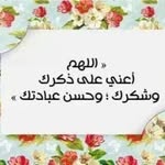 Hoda Afify - @afify2946 - Instagram