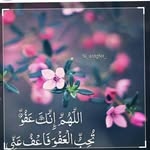 Hoda Ramadan - @hodaramadan136 - Instagram