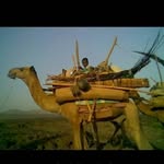 Hodan Ali Seed - @hodanaliseed - Instagram