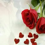 Hodan Ali Yare - @hodanaliyare - Instagram