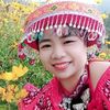 Phạm Hợi 1977 - @hoipham.123 - TikTok