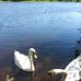 Cheryl Bunting - Facebook