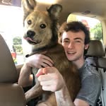 Holden Thomas - @holden101 - Instagram