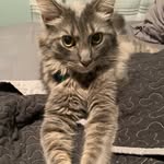 Holden James Wright - @socialholden323 - Instagram