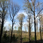 Holger Ebert - @ebert_holger - Instagram