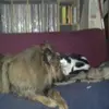 Holger Klein - @holger.klein08 - TikTok