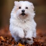 Jytte Holger Rasmussen - @damparken - Instagram