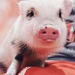 HollandSutton467 - @hollandsutton467 - Instagram