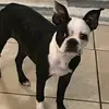 Holley Smith - @holley.smith7 - TikTok