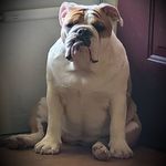 Holli Phillips - @hollijphillips - Instagram