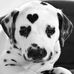 Hollie Bates - Facebook
