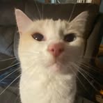 Hollie Key - Facebook
