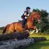 🐴Hollie Ryan🐴 - @hollieryan123 - TikTok