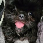 Hollis Bean - @babyhollisbean - Instagram