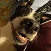 Holly Waller - @hollywaller7 - TikTok