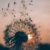 hollyaherne - @xx.___holly__.xx - TikTok