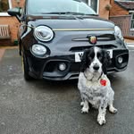 Holly-Amber🖤 - @hols_abarth - Instagram