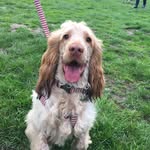 holly_amber - @holly_amber23 - Instagram