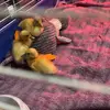 Holly atherton - @holly.atherton1 - TikTok