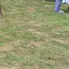 holly atherton - @its.holly.09 - TikTok
