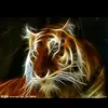 Holly Bobbitt - @holly.bobbitt - TikTok