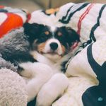 Holly - @holly_back_girl_ - Instagram
